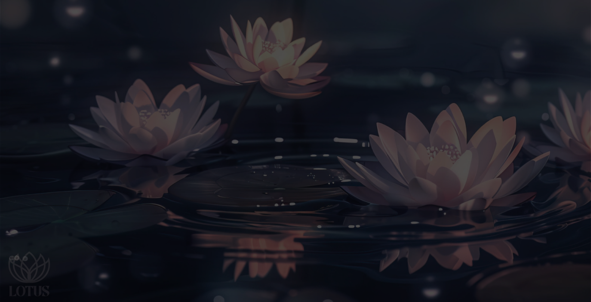 laptopmockup_sliderdy